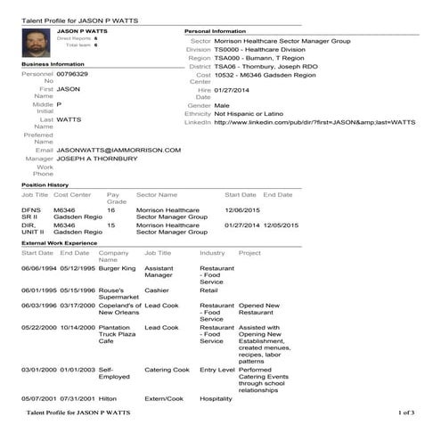 Individual Talent Profile Template | PDF