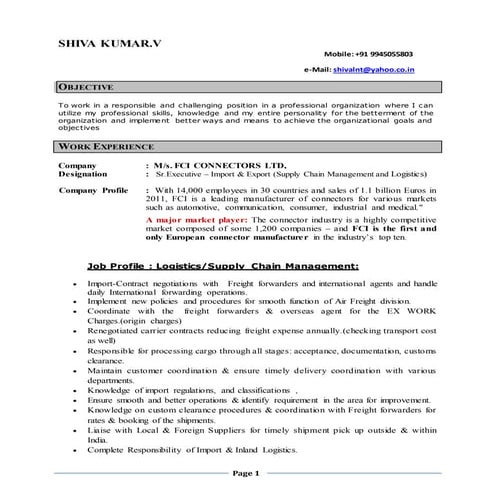 Ali Raza CV | PDF