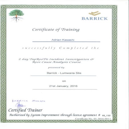 Certificate-Tap Root Investigation | PDF