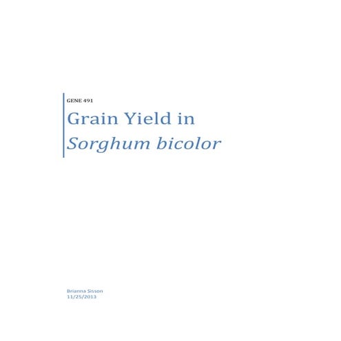 Grain Yield in Sorghum Bicolor Final paper