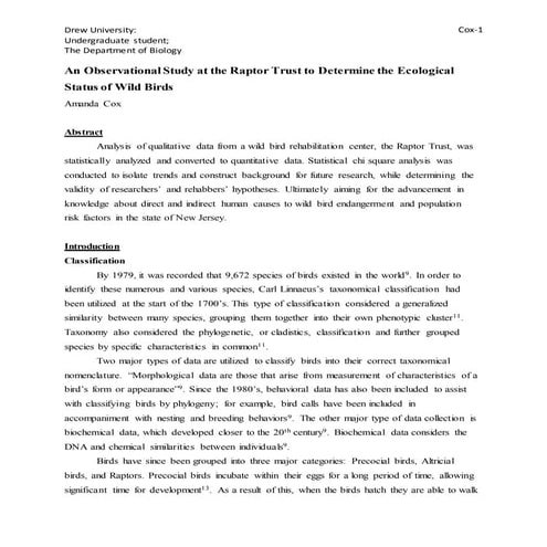THESIS-FINAL PAPER
