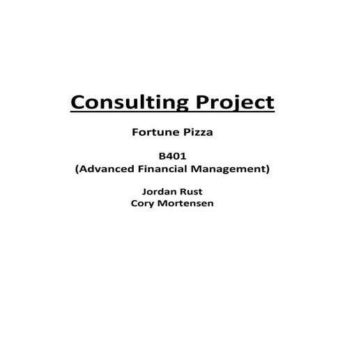 B401 Consulting Project