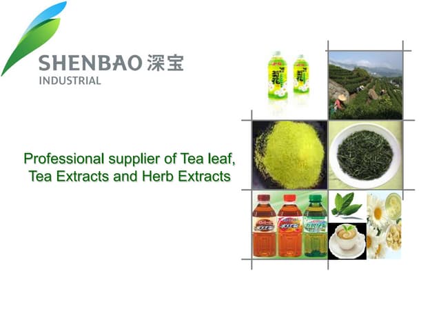 Manufacturing of Instant Tea | PPTX