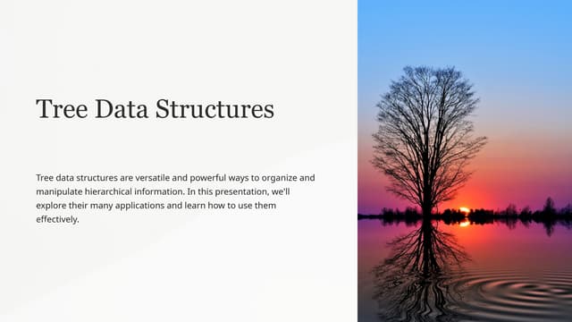 D9-Tree and Graph-Data-Structures information.pptx