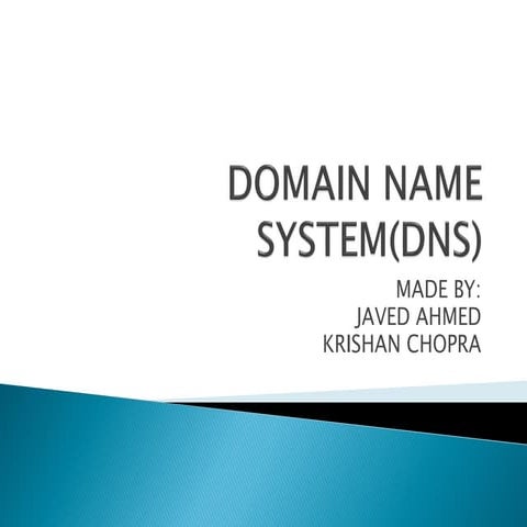 DOMAIN NAME