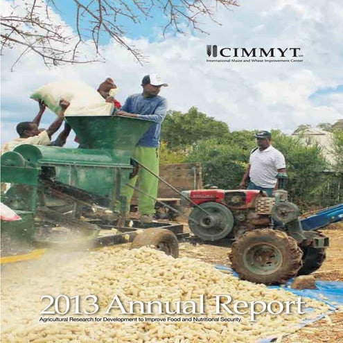 CIMMYT AR2013