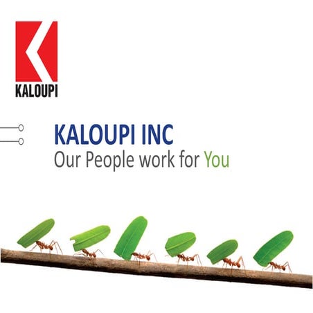 Marketing_Brochure-kaloupi