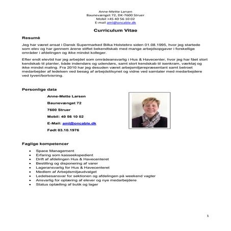 Cv skabelon med eksempler | DOCX