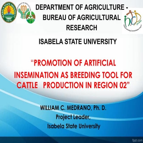 Commercialization of Philippine Native Cattle for Optimum Production
