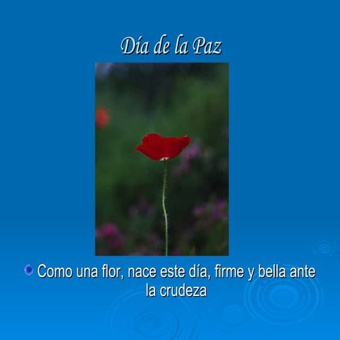 día mundial de la paz