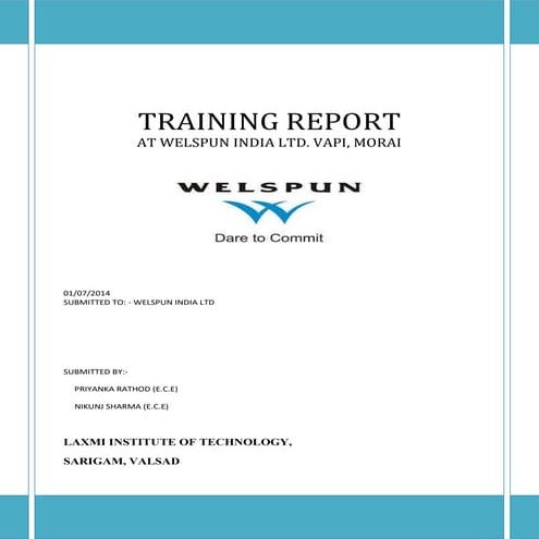 Welspun report | PDF
