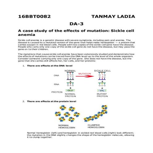 Da3 | PDF