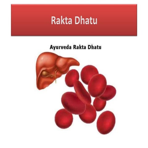 Rakta_Dhatu is the second dhatu from saptadhatwagni