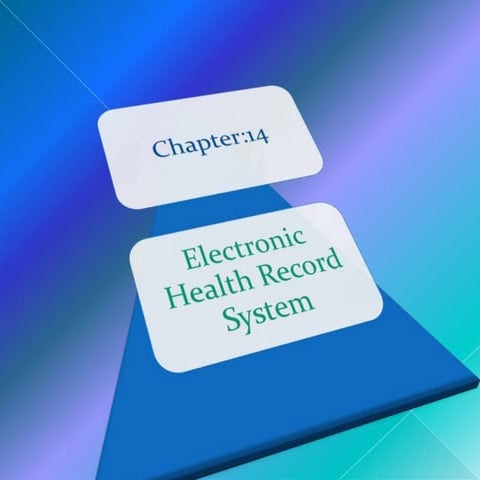 nursing  informatics chapter 14,15,16,17