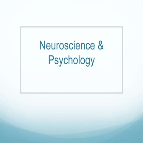 neuro-lecture 2