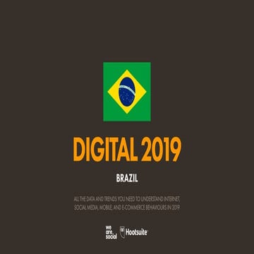 Dados Brasil 2019 completo