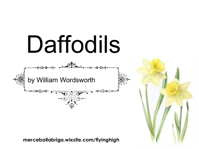 Daffodils I wandered lonely as a cloud