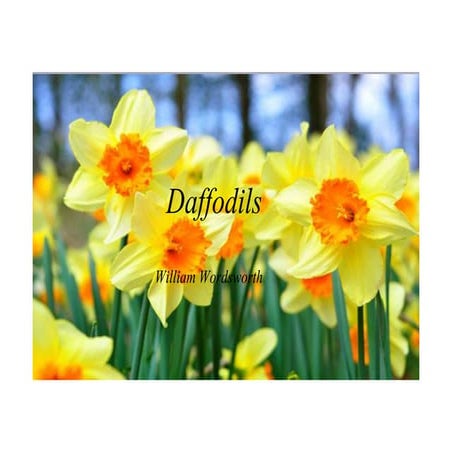 Daffodils ppt