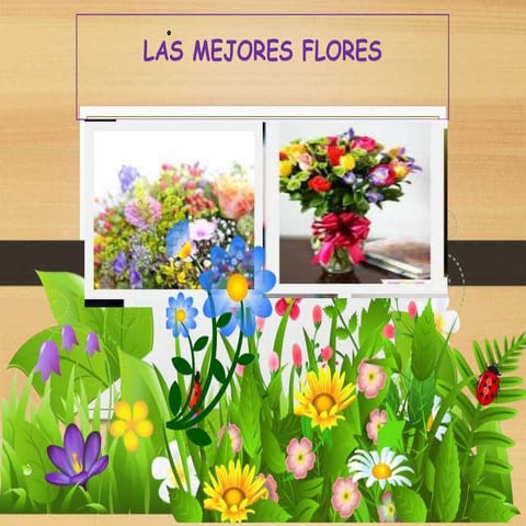 LAS MEJORES FLORES