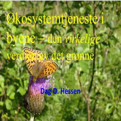 Oslo Green City Forum 2013: Dag Hessens presentasjon