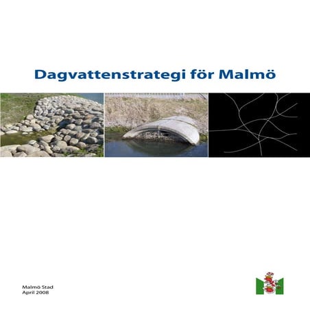 Dagvattenstrategi 2008