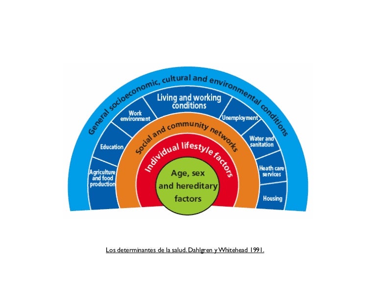 Dahlgren & Whitehead. Principales determinantes de la salud