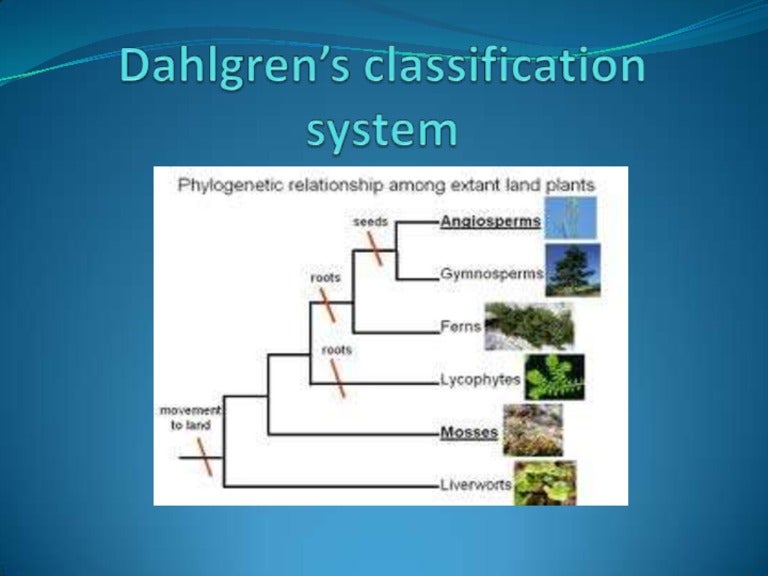 Dahlgren’s system