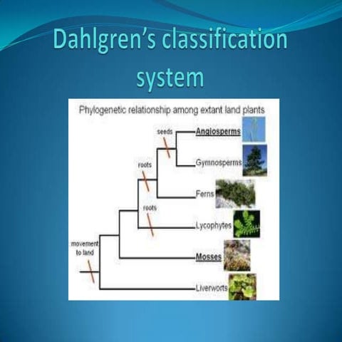 Dahlgren’s system
