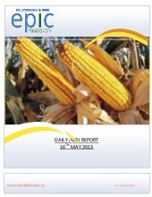Daily agri-report 16 may  2013
