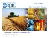 Daily agri report 18 apr 2019 by epic research