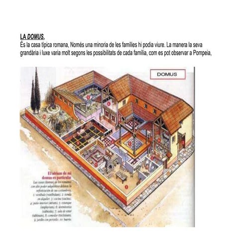 domus, vil·les i insules