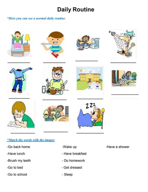 Daily routines | PDF