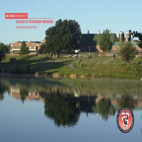 Avoiding Disease in Dairy Calves