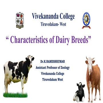 Dairy breeds