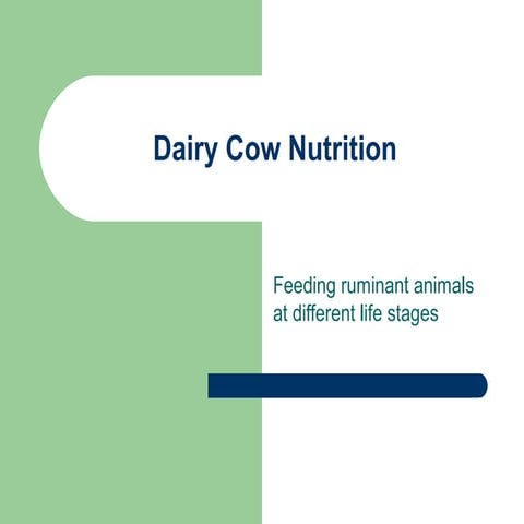 Dairy cow nutrition