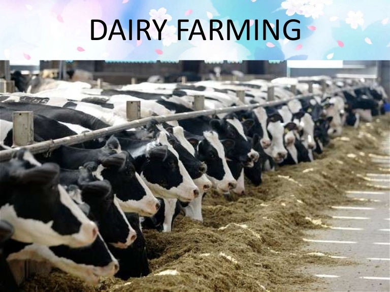 Dairy farming