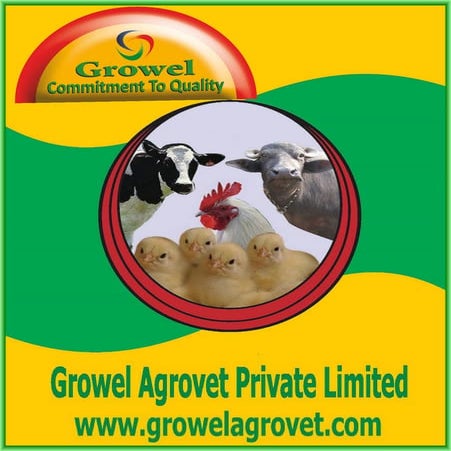 Dairy Farming Practice Guide