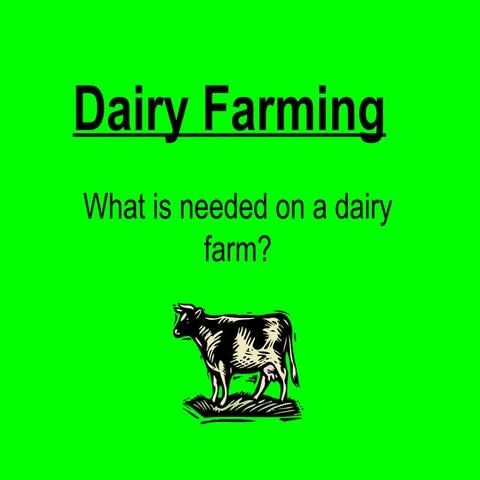 Dairy farming –process