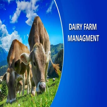 Dairy farm management
