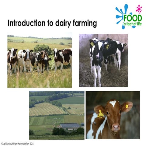 Dairy farm presentation