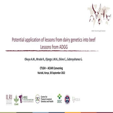 Potential application of lessons from dairy genetics into beef: Lessons from ...