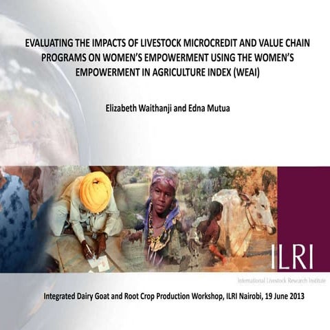 Evaluating the impacts of livestock microcredit and value chain programs on w...