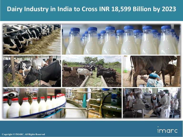 Dairy Industry in India Share, Size, Growth, Trends And Forecast (20…