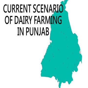Dairy Scenario in Punjab