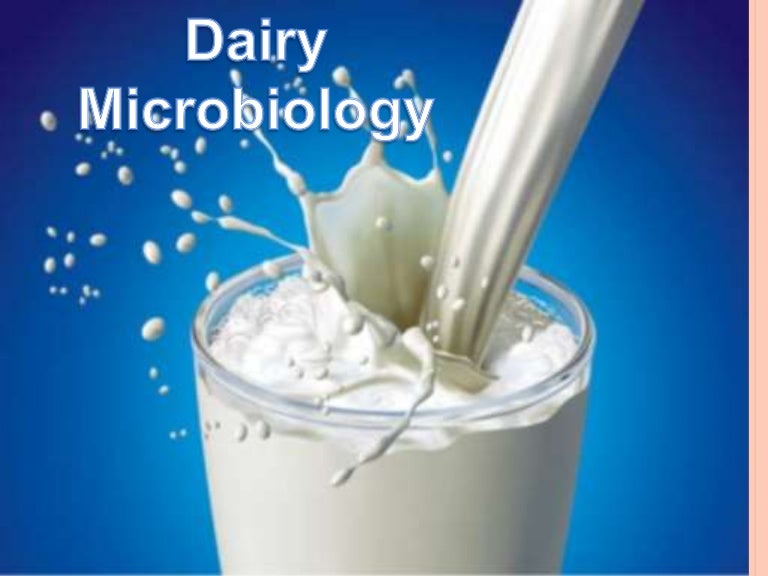 Dairy microbiology