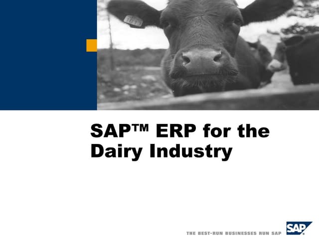 Dairy overview