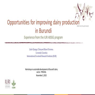 Opportunities for improving dairy production in Burundi: Experience from the ...