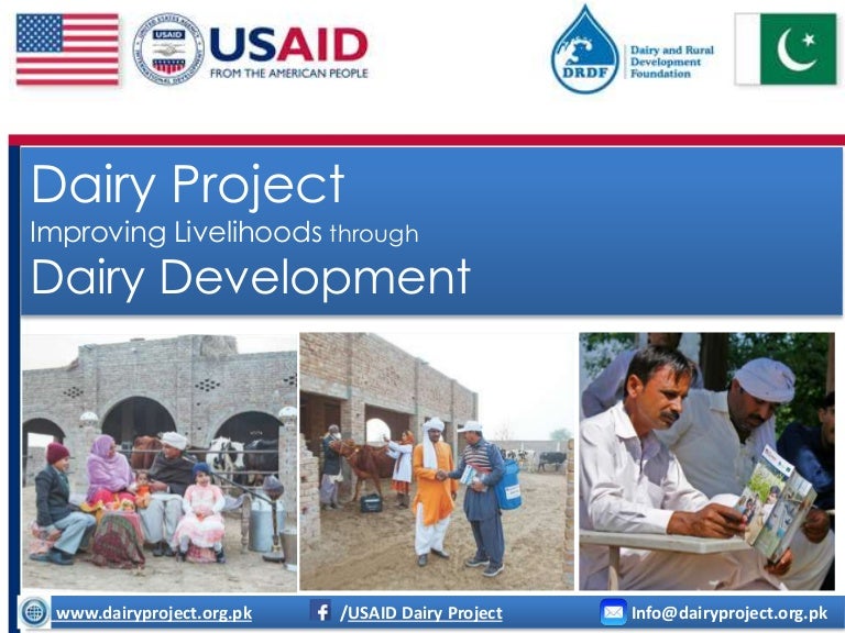 Dairy project presentation usaid cwg