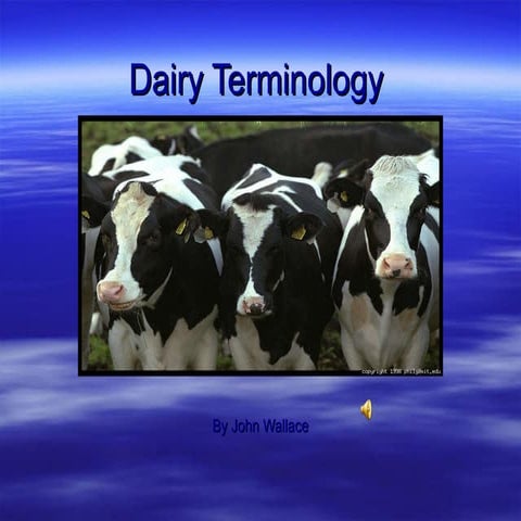 Dairy terminology