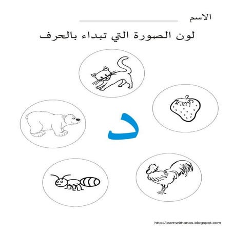 تتبع حرف الدال 